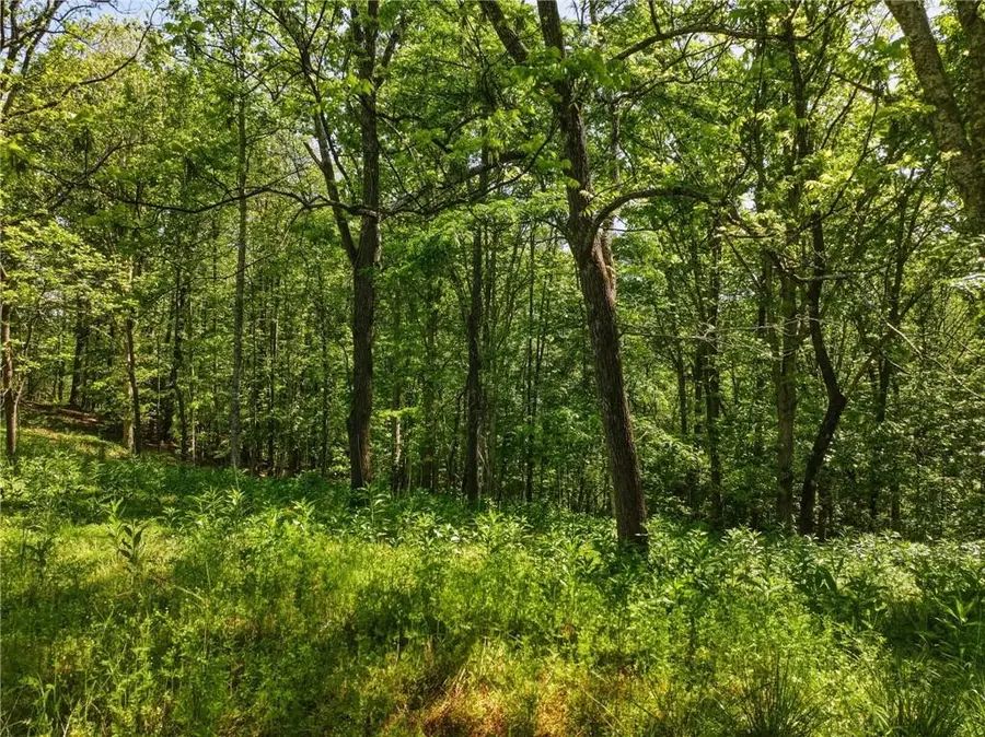Lot 3 Summit Drive, Dahlonega, GA 30533 - #3