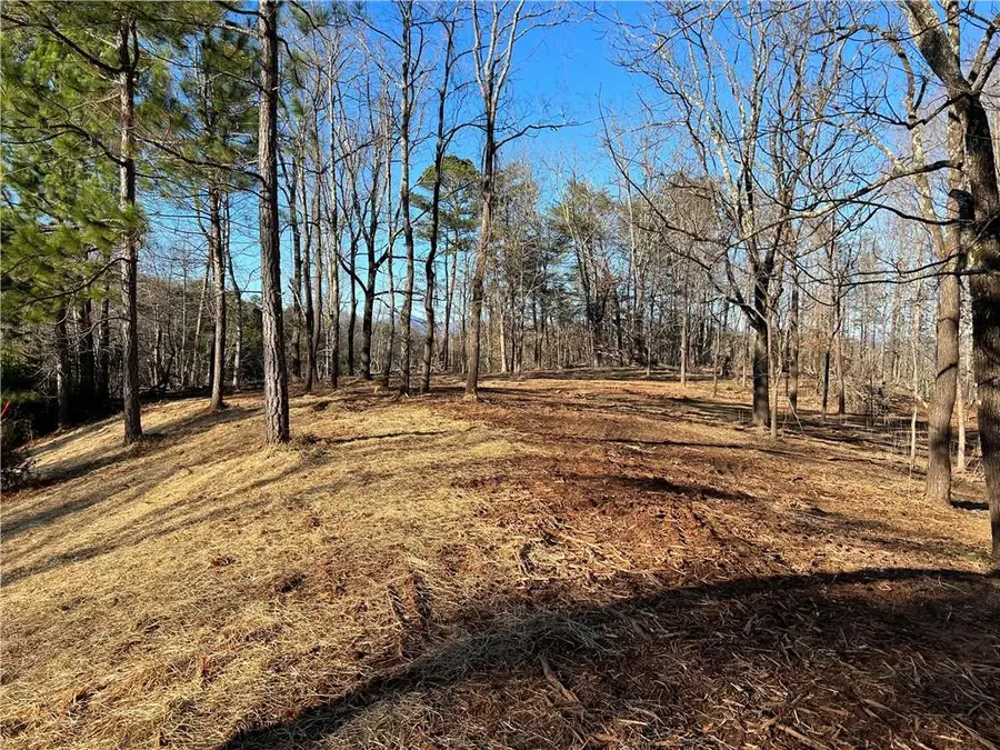 Lot 4 Summit Drive, Dahlonega, GA 30533 - #3