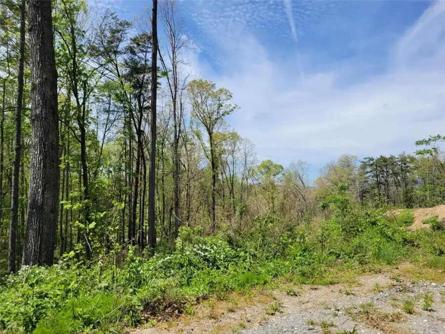 Lot 2 Old Northcutt Road, Ellijay, GA 30540 - #2