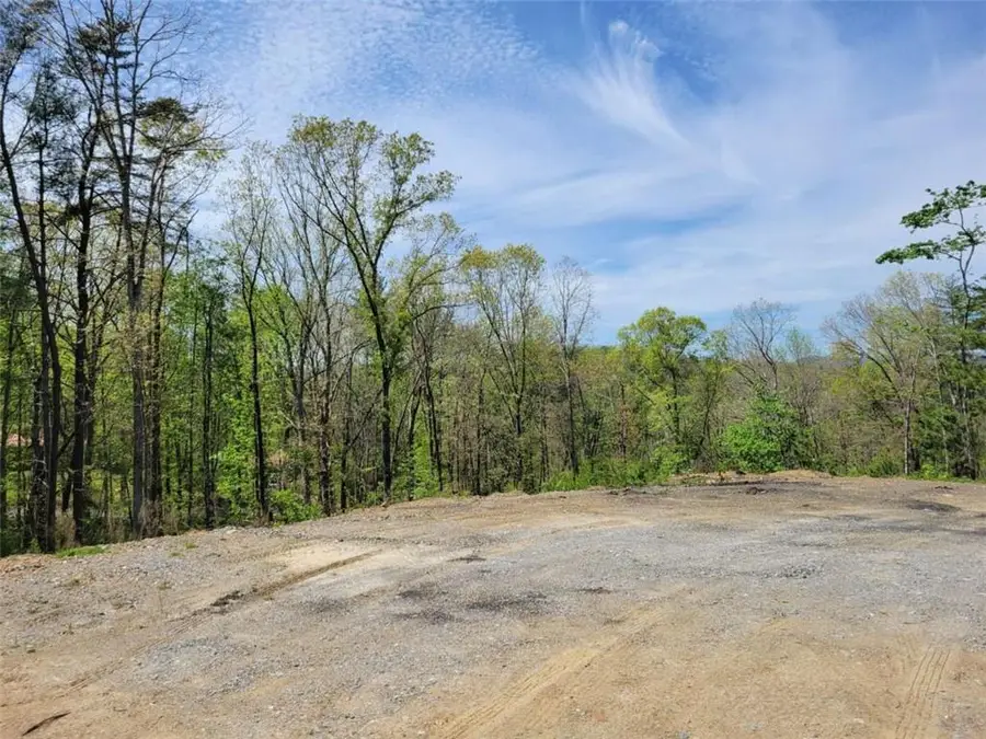 Lot 4 Old Northcutt Road, Ellijay, GA 30540 - #2