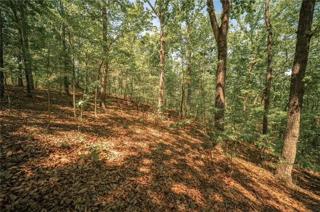 00 Hancock Mountain Trl, Waleska, GA 30183 - #1