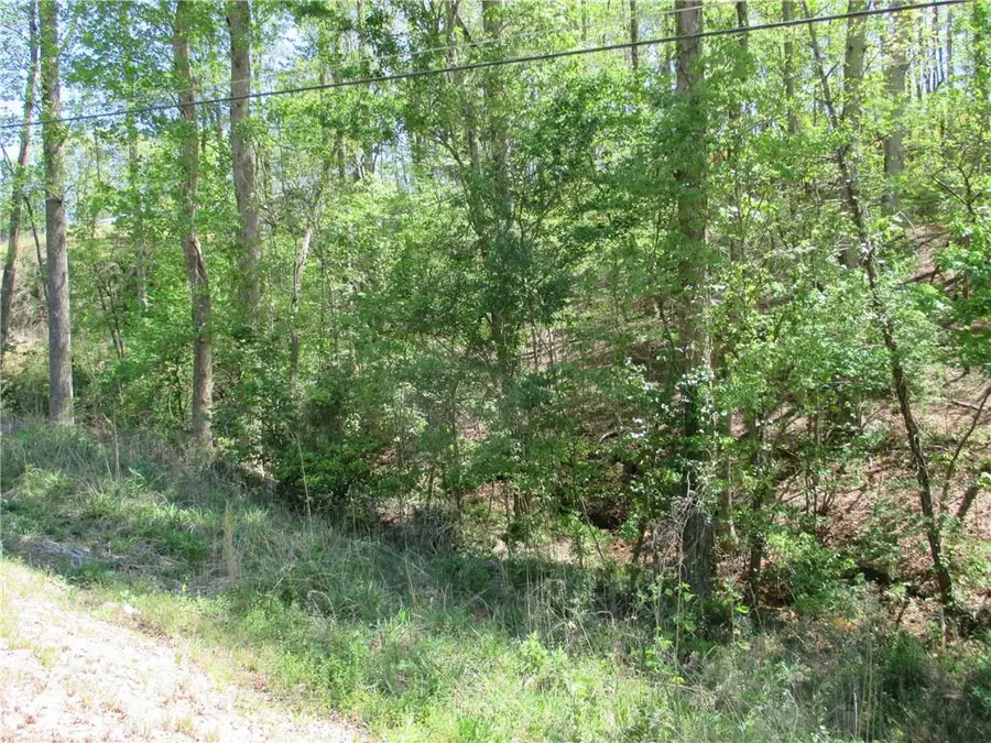 000 Morrison Moore Parkway E, Dahlonega, GA 30533 - #3