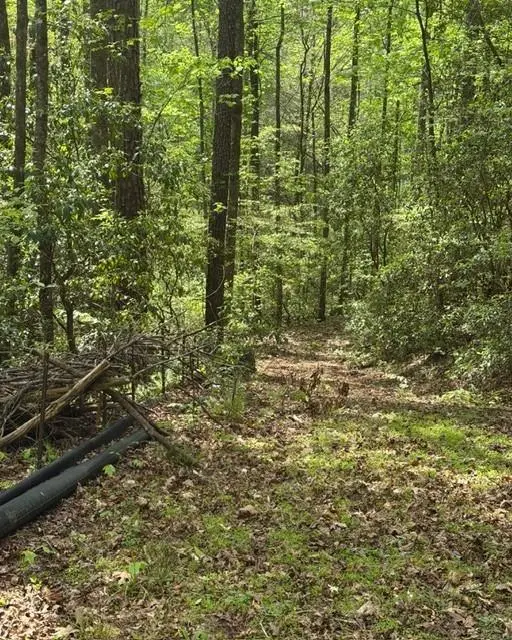 348 Hemlock Trail, Ellijay, GA 30540 - #1