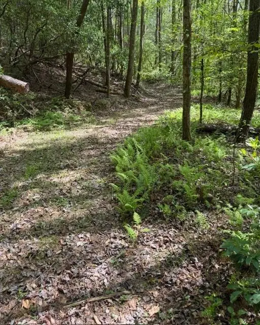 348 Hemlock Trail, Ellijay, GA 30540 - #2