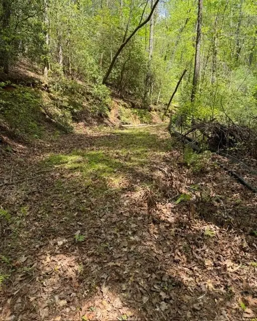 348 Hemlock Trail, Ellijay, GA 30540 - #3