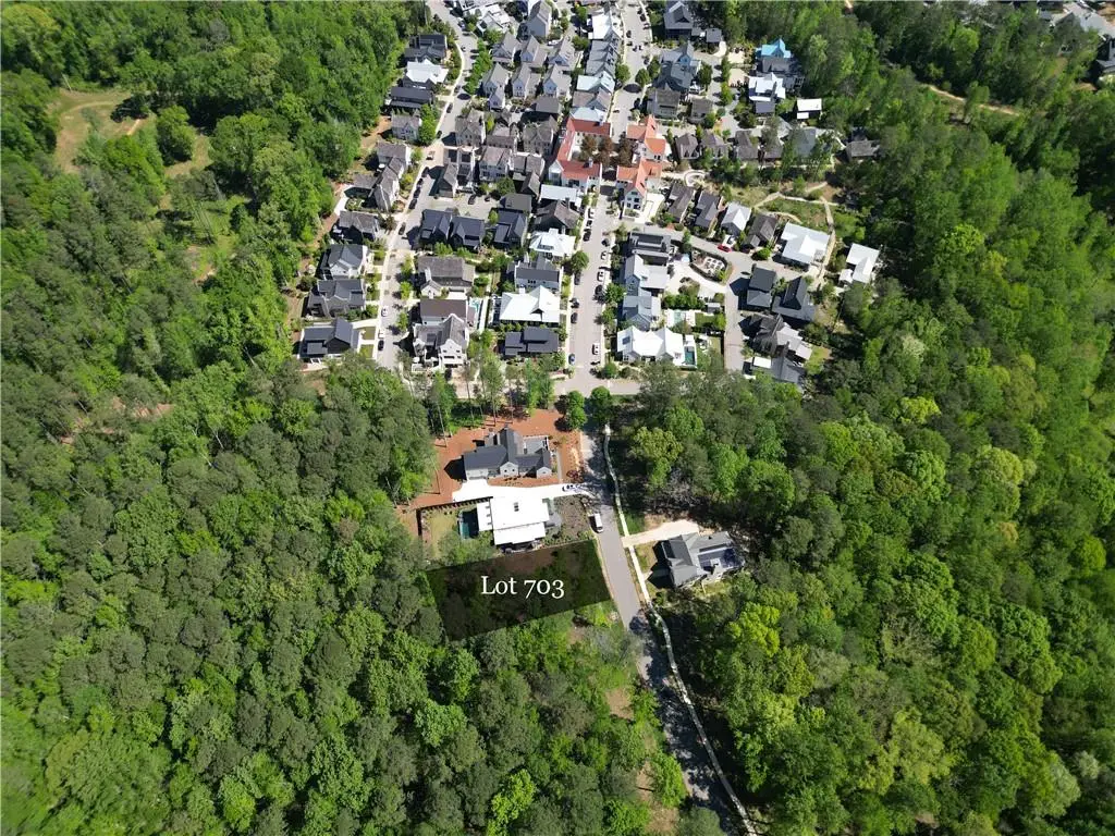 11365 Serenbe Lane, Chattahoochee Hills, GA 30268 - #1