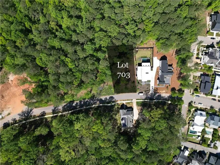 11365 Serenbe Lane, Chattahoochee Hills, GA 30268 - #2