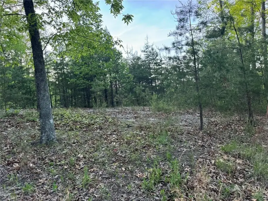 1181 Jewel Court Ne, Ranger, GA 30734 - #2