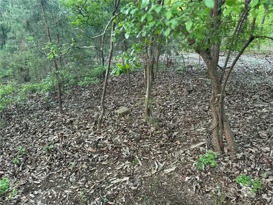 1181 Jewel Court Ne, Ranger, GA 30734 - #3