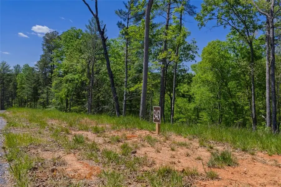 LT 343 Shallow Branch Drive, Talking Rock, GA 30175 - #2
