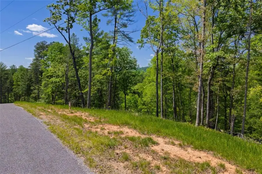 LT 343 Shallow Branch Drive, Talking Rock, GA 30175 - #3