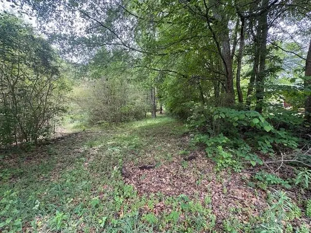 0 Burfordi Drive, Marietta, GA 30008 - #3