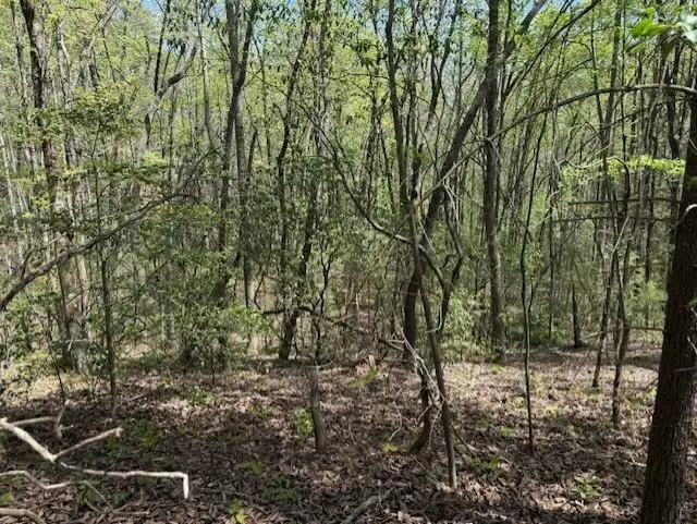 Lot 5 Marjorie Ave, Ellijay, GA 30536 - #2