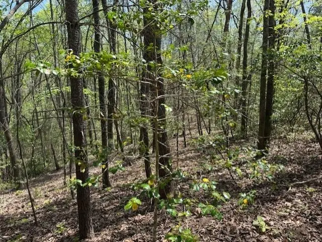 Lot 5 Marjorie Ave, Ellijay, GA 30536 - #3