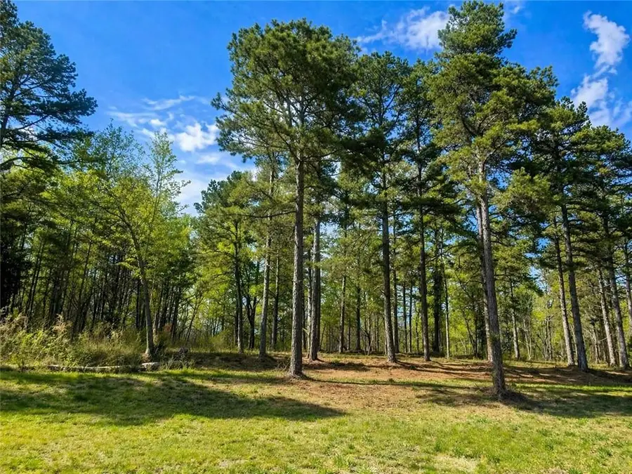 575 Hardy Road, Martin, GA 30557 - #2