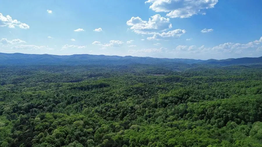 19 Amicalola Drive, Dawsonville, GA 30534 - #3