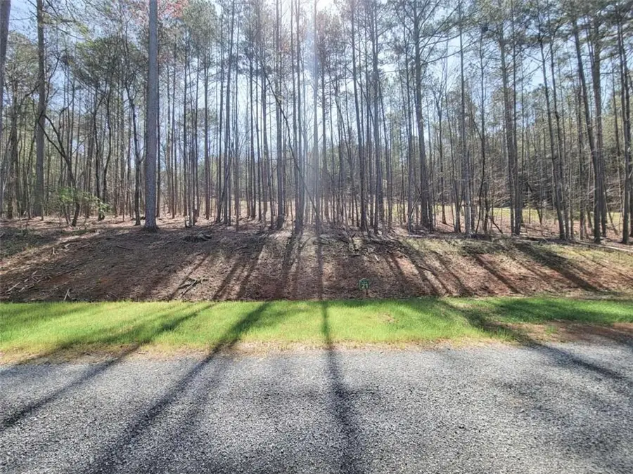 277 Mountaingate Way, Ellijay, GA 30536 - #3