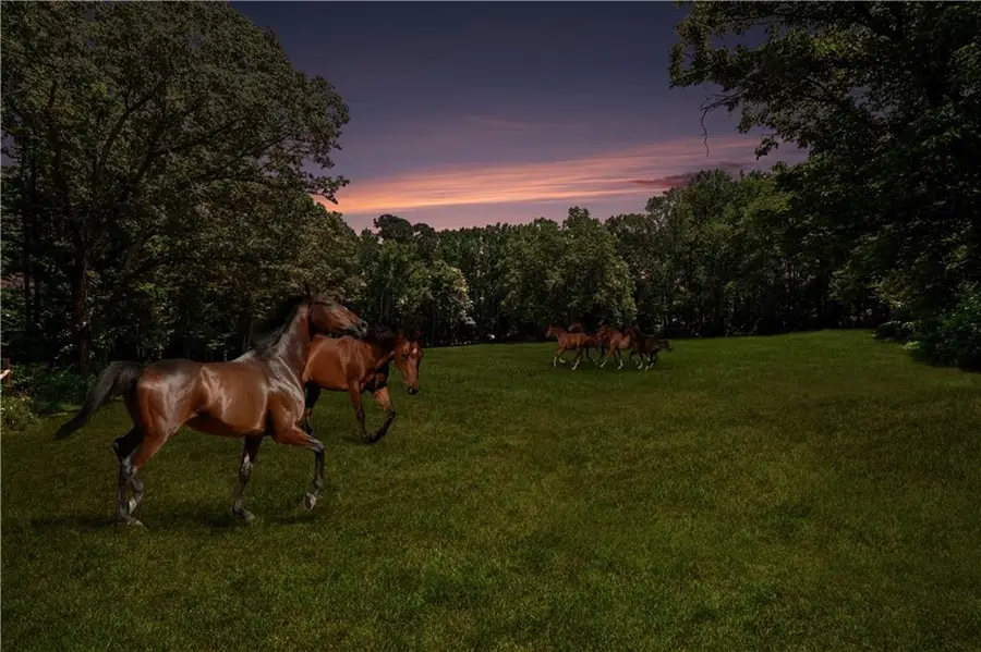 2795 Roper Road, Cumming, GA 30028 - #2