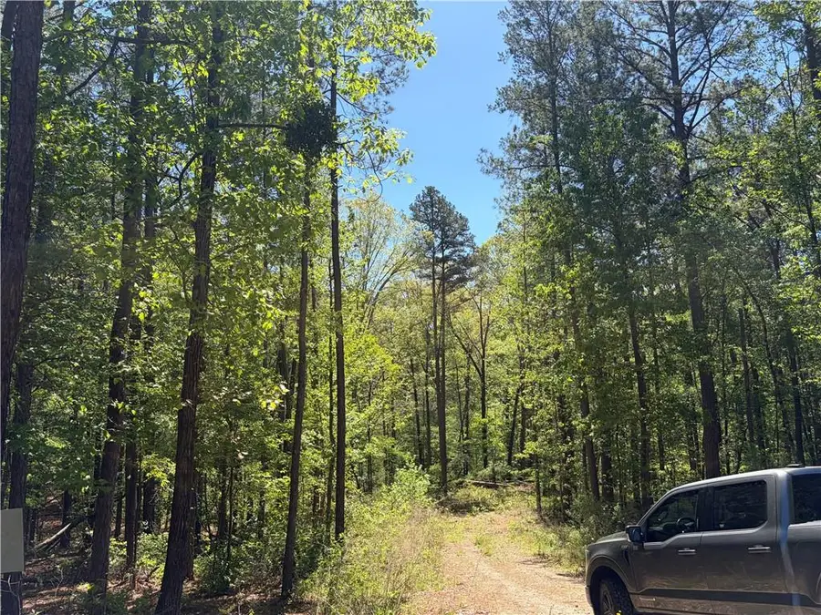 0 Gore Lakes Road, Dallas, GA 30132 - #3