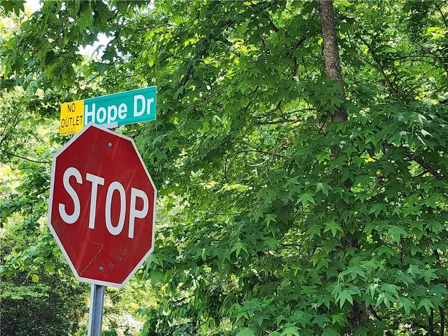 11.4 Hope Drive, Suwanee, GA 30024 - #2