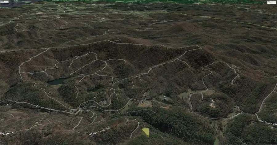 20 Goldmine Drive, Ellijay, GA 30536 - #2