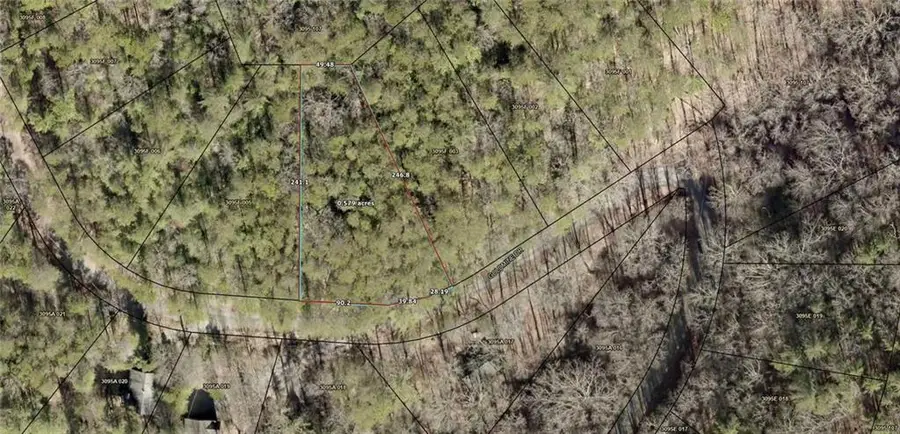 20 Goldmine Drive, Ellijay, GA 30536 - #3