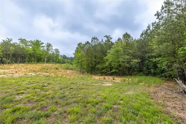 51 Paul Harris Road, Dallas, GA 30157