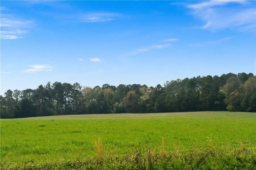 0 Taylorsville Macedonia Rd. Tract 1 Road, Taylorsville, GA 30178 - #2