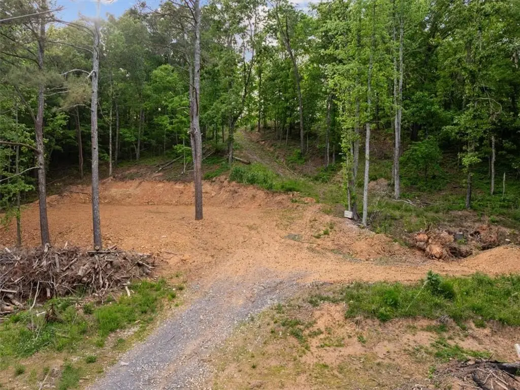 307 Moores Ferry Road Sw, Plainville, GA 30733 - #1