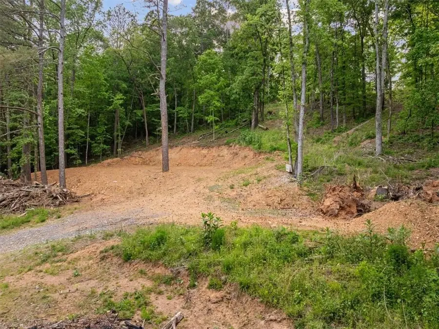 307 Moores Ferry Road Sw, Plainville, GA 30733 - #2