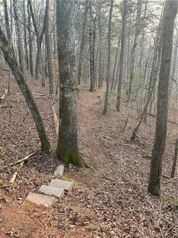 0 Shady Grove Church Road, Talking Rock, GA 30175 - #1