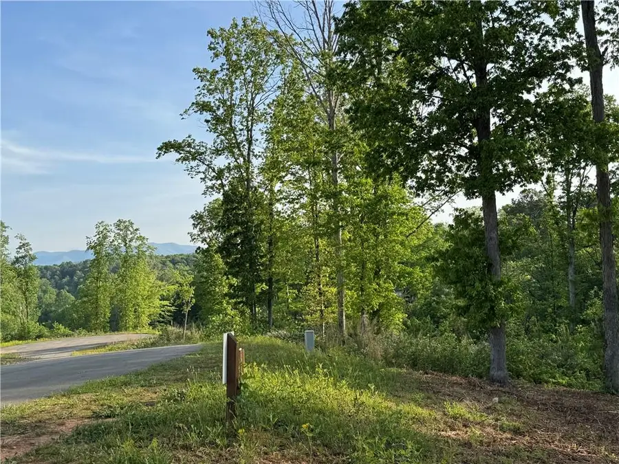 008 Mystic Drive, Ellijay, GA 30540 - #2