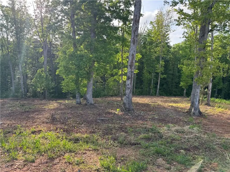 008 Mystic Drive, Ellijay, GA 30540 - #3