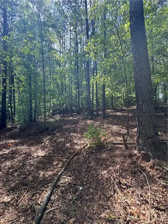 4652 Woodlane Drive, Oakwood, GA 30566 - #2