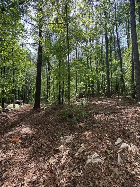 4652 Woodlane Drive, Oakwood, GA 30566 - #3