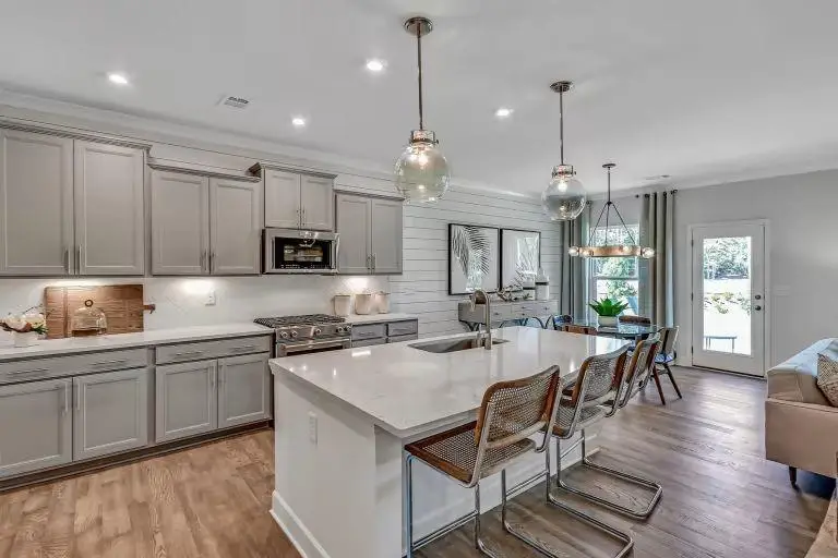 1764 Little Springs Lane, Dacula, GA 30019 - #3