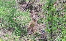 t-2 Clayton Gooch Road, Dahlonega, GA 30533 - #3