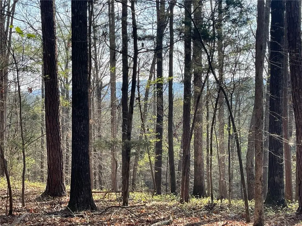Lot 12 Chalcrest Way, Cave Spring, GA 30124 - #1
