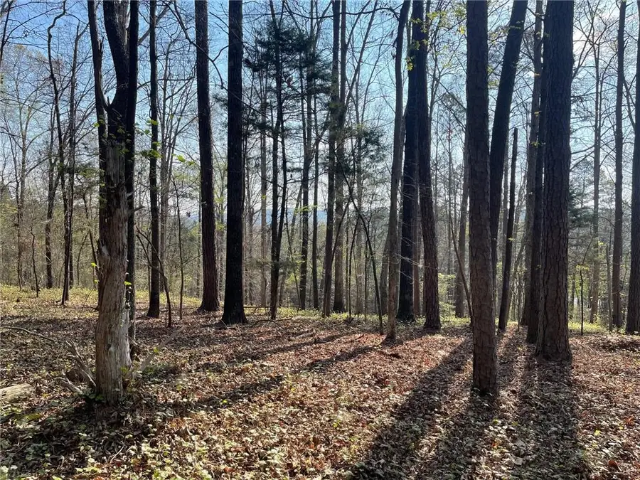 Lot 12 Chalcrest Way, Cave Spring, GA 30124 - #2