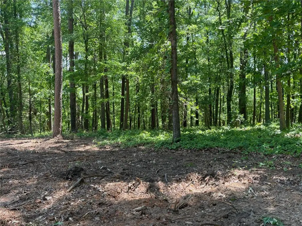 Lot 13 Chalcrest Way, Cave Spring, GA 30124 - #1