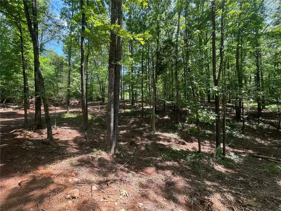 Lot 13 Chalcrest Way, Cave Spring, GA 30124 - #3