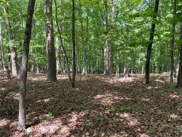 Lot2&3 Chalcrest Way, Cave Spring, GA 30124