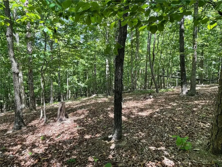 Lot2&3 Chalcrest Way, Cave Spring, GA 30124 - #2