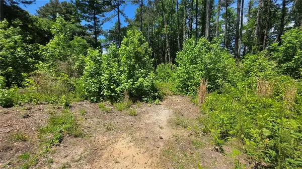 6099 Old Alabama Road Sw, Austell, GA 30168