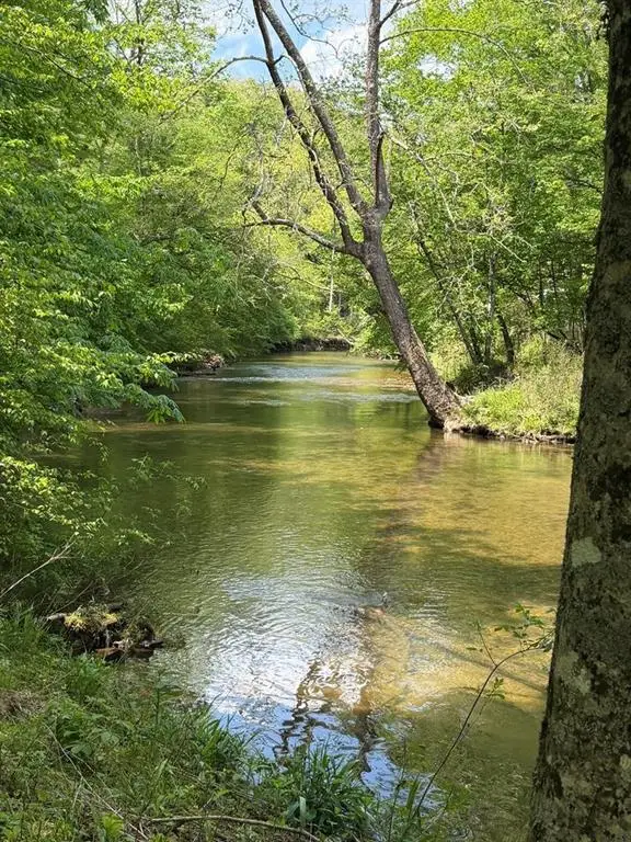 9.8 AC Brown Mountain Road, Suches, GA 30572 - #1