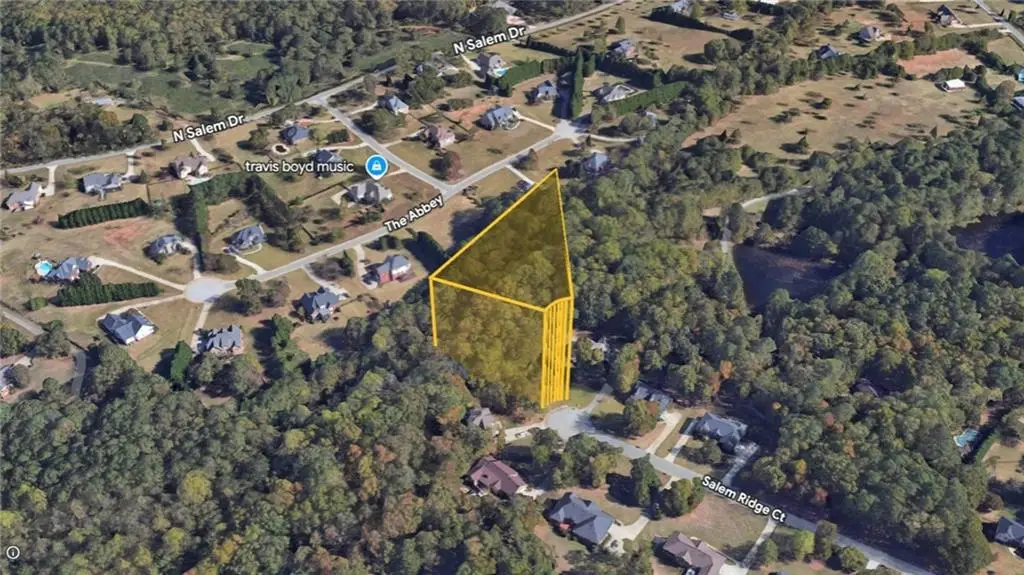 466 Salem Ridge Court, McDonough, GA 30253 - #1