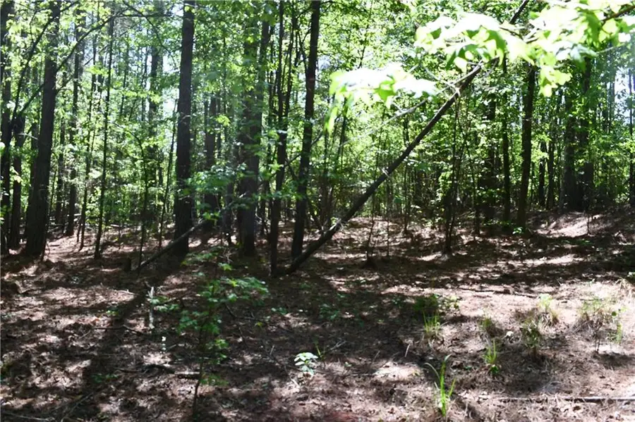 00001 Windridge Lane, Temple, GA 30179 - #2