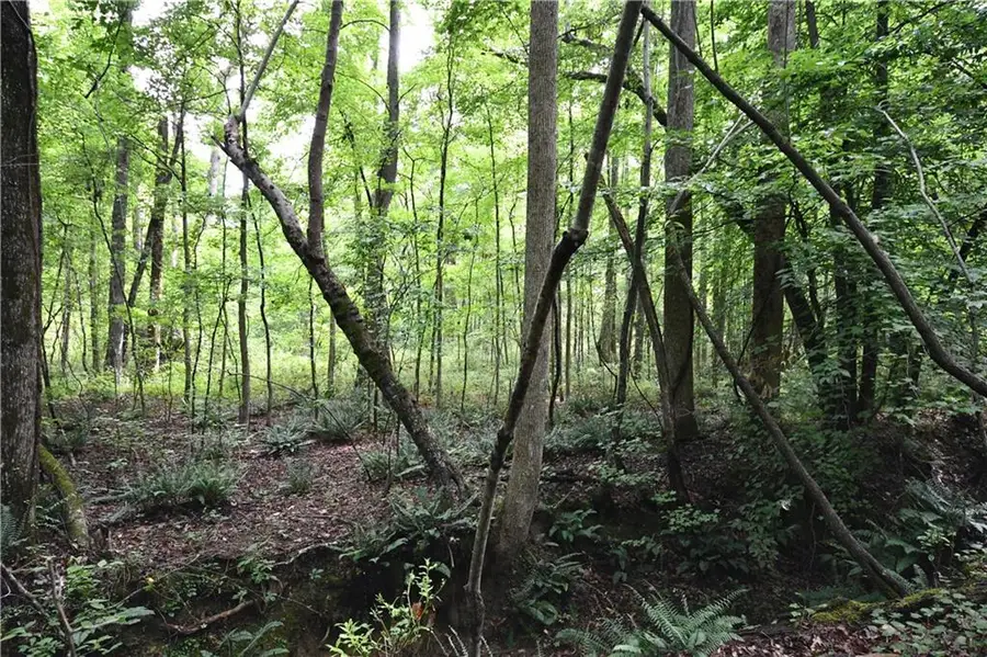 00008 Windridge Lane, Temple, GA 30179 - #2