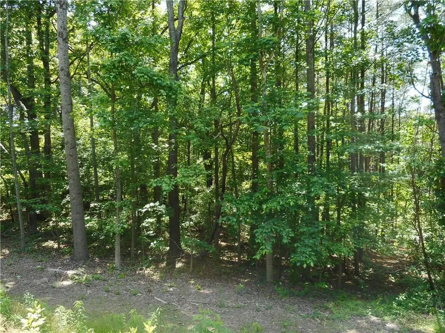 0 Holly Lynn Court, Canton, GA 30115 - #3