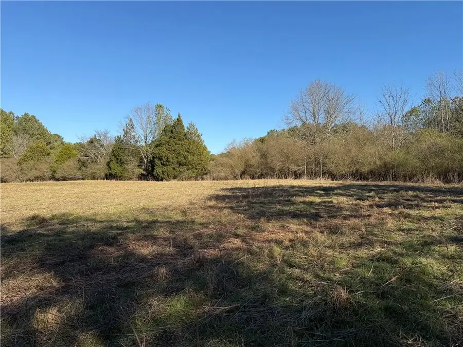 000000 Liberty Church Road, Ranger, GA 30734 - #3